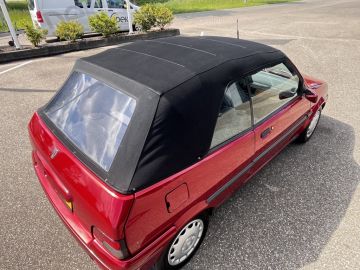 Rover 100